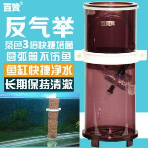 80魚缸300瓦加熱要多長(zhǎng)時(shí)間：80魚缸使用300瓦的加熱棒加熱所需時(shí)間