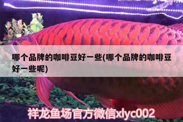 哪個品牌的咖啡豆好一些(哪個品牌的咖啡豆好一些呢)
