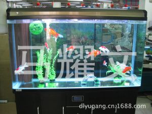 1米五的魚缸多少錢：1米五的魚缸價格概述：1米五的魚缸價格信息可能會有所變動
