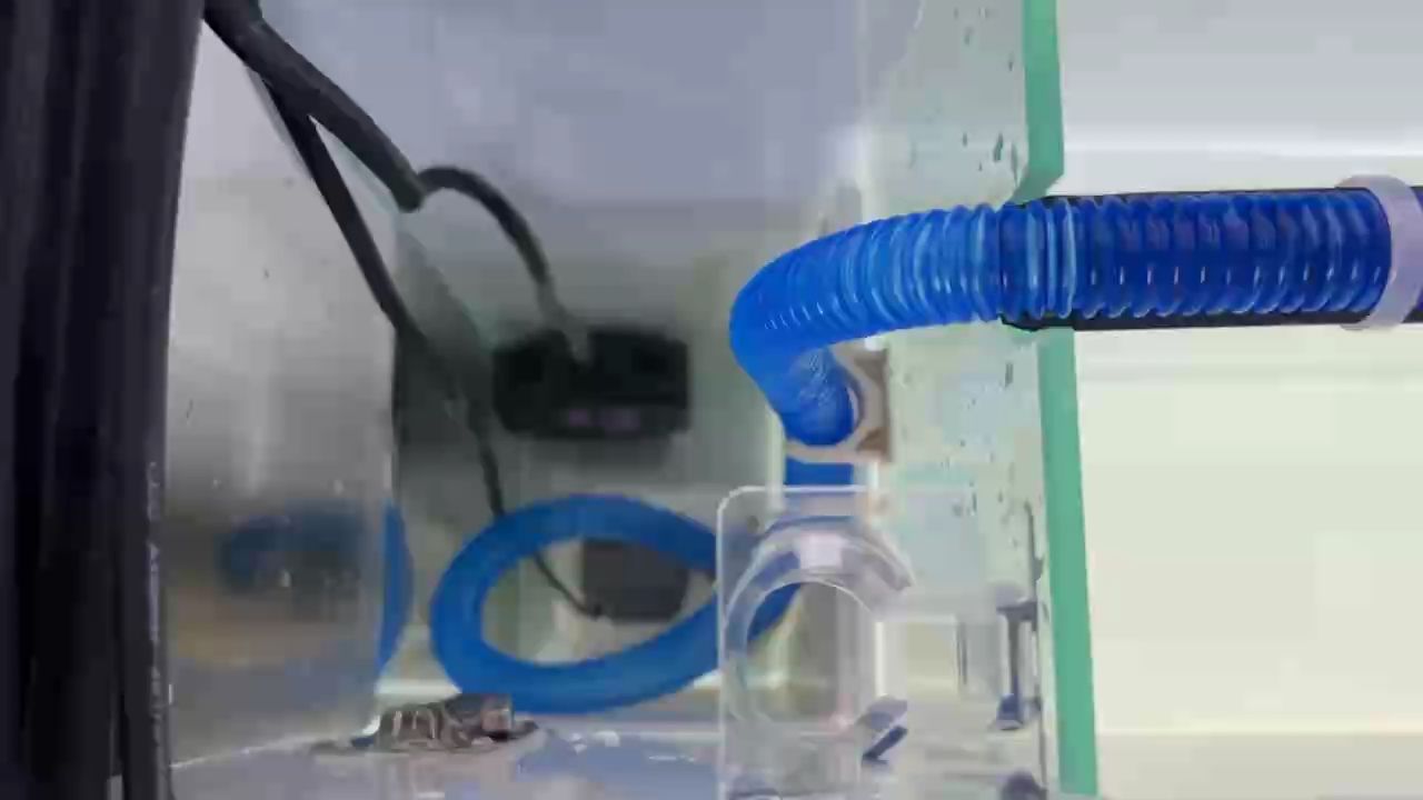 改好后的成品，還算成功！[deyi] 改好后的成品，還算成功！[deyi] 龍魚論壇