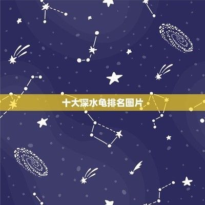 豬鼻龜兇猛嗎圖片：豬鼻龜為什么瀕危呢