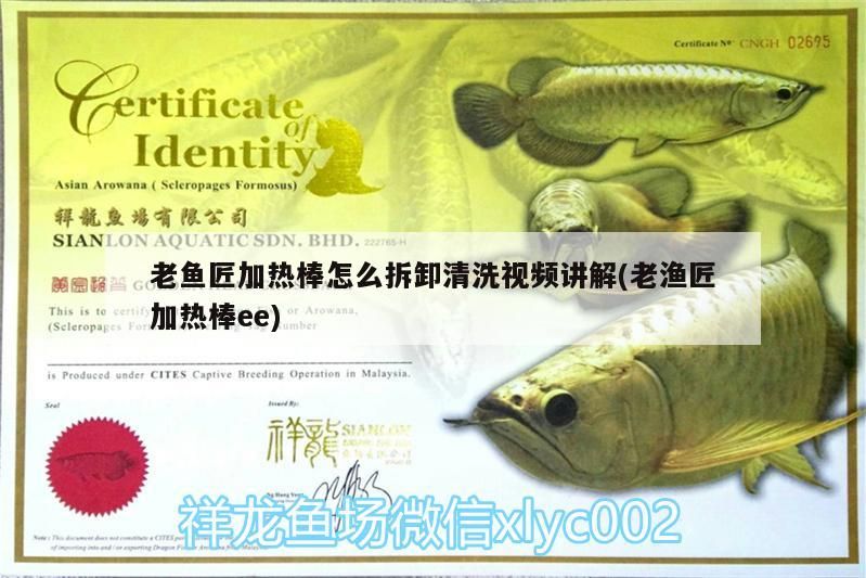 老魚匠加熱棒怎么拆卸清洗視頻講解(老漁匠加熱棒ee) 老魚匠加熱棒怎么拆卸清洗視頻講解(老漁匠加熱棒ee) 老魚匠