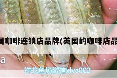 英國咖啡連鎖店品牌(英國的咖啡店品牌)