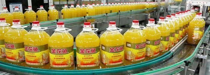 底濾魚缸原理強排