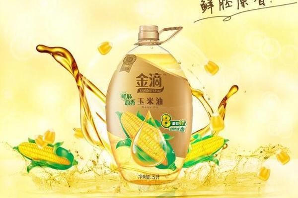 金龍魚夏季飲食調(diào)整方法：金龍魚在夏季的飲食調(diào)整方法
