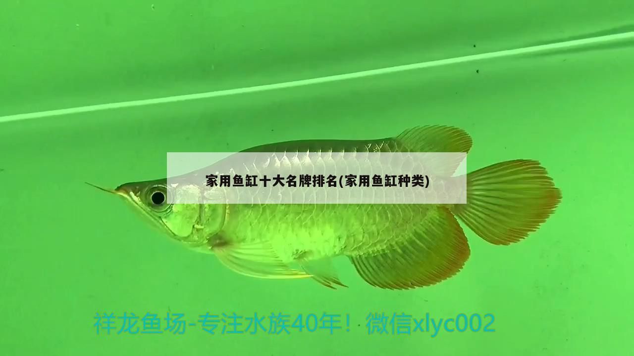 家用魚缸十大名牌排名(家用魚缸種類)