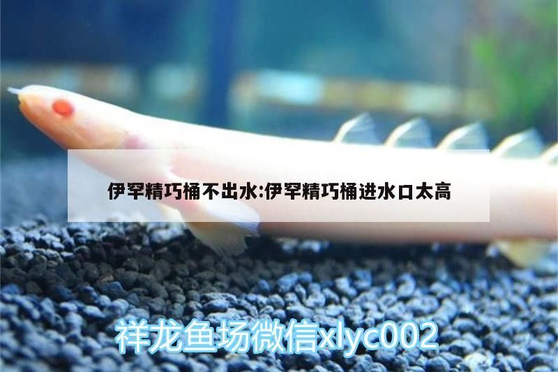伊罕精巧桶不出水:伊罕精巧桶進水口太高