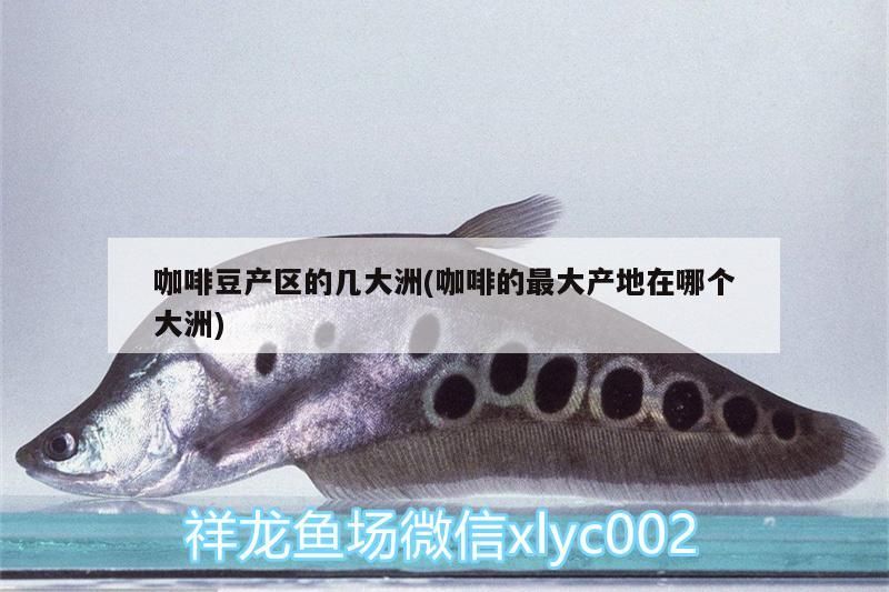 飼料 咖啡豆產區的幾大洲(咖啡的最大產地在哪個大洲) 馬來西亞咖啡 咖啡豆產區的幾大洲(咖啡的最大產地在哪個大洲) 咖啡豆產區的幾大洲(咖啡的最大產地在哪個大洲) 馬來西亞咖啡