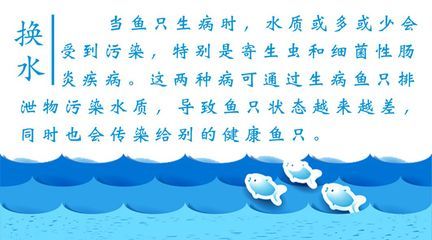 魟魚腸炎只加強換水能治愈嘛：魟魚腸炎只加強換水能治愈嘛，