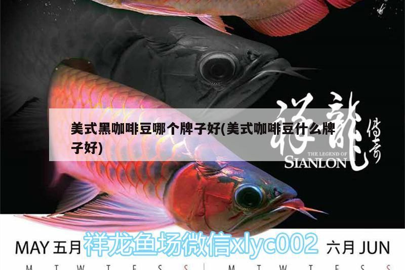 美式黑咖啡豆哪個牌子好(美式咖啡豆什么牌子好) 美式黑咖啡豆哪個牌子好(美式咖啡豆什么牌子好) 馬來西亞咖啡