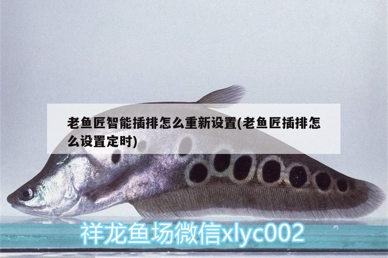 老魚匠智能插排怎么重新設(shè)置(老魚匠插排怎么設(shè)置定時)