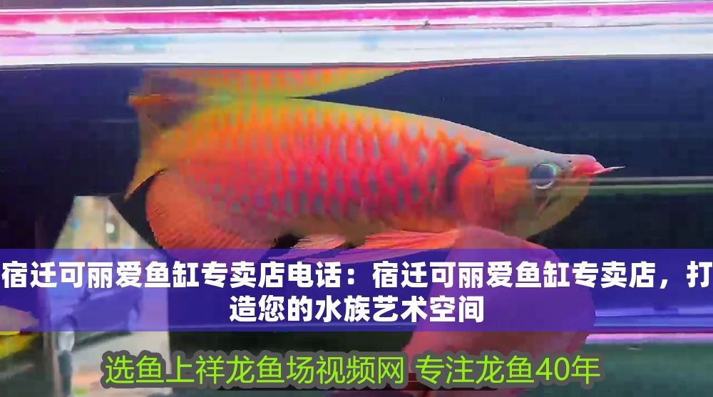 宿遷可麗愛魚缸專賣店電話：宿遷可麗愛魚缸專賣店，打造您的水族藝術(shù)空間 宿遷可麗愛魚缸專賣店電話：宿遷可麗愛魚缸專賣店，打造您的水族藝術(shù)空間 iwish愛唯希品牌魚缸 第1張