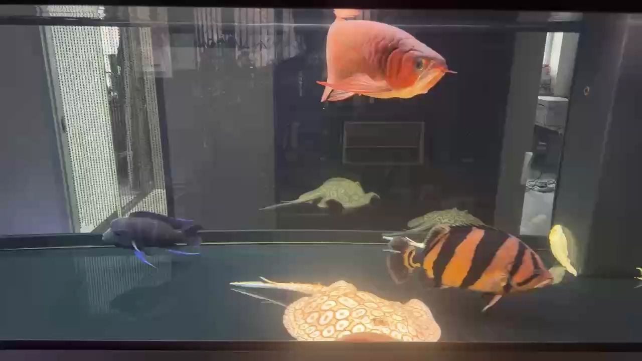 素片