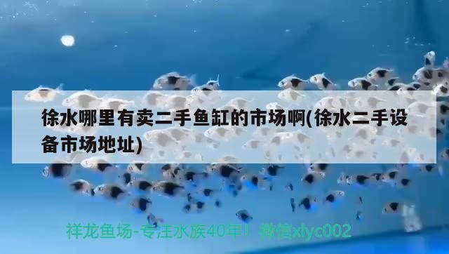 徐水哪里有賣二手魚缸的市場啊(徐水二手設備市場地址)