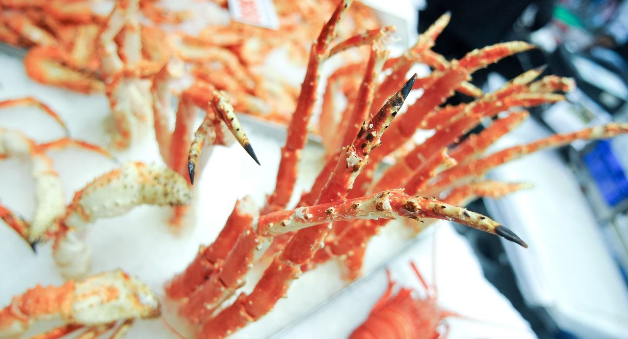 深圳賣龍魚最大的市場在哪里深圳賣龍魚最大的市場在哪里