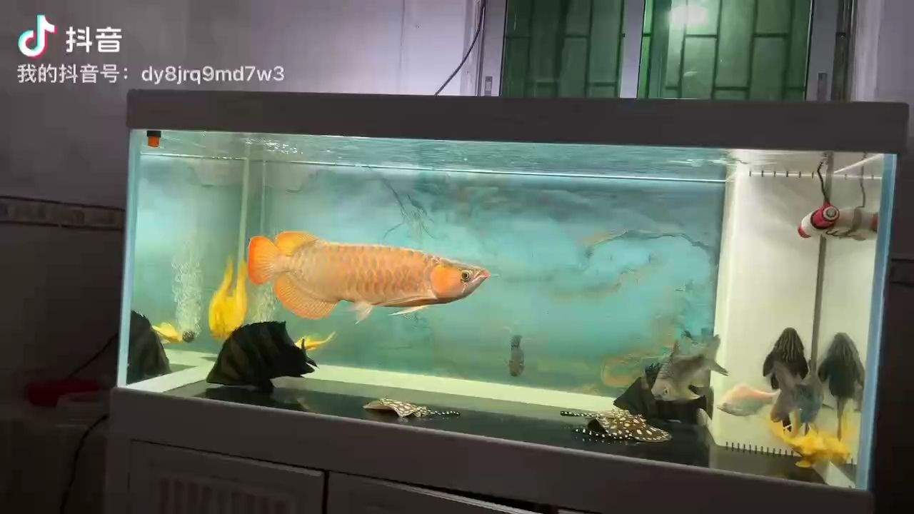 獻丑了。哈哈哈