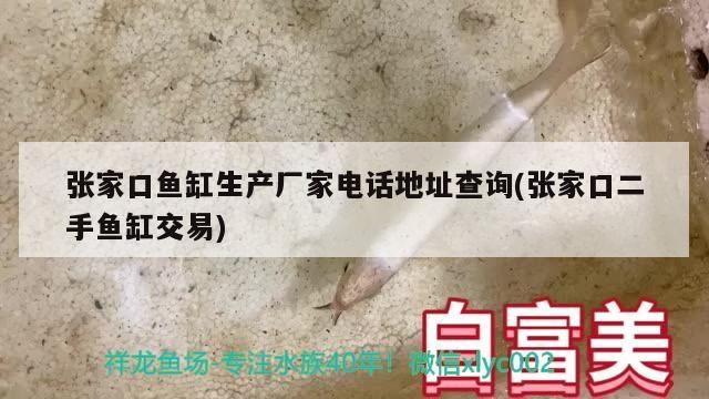 張家口魚缸生產(chǎn)廠家電話地址查詢(張家口二手魚缸交易)