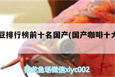 咖啡豆排行榜前十名國產(國產咖啡十大排名)