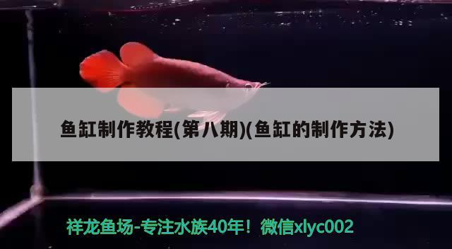 魚缸制作教程(第八期)(魚缸的制作方法)