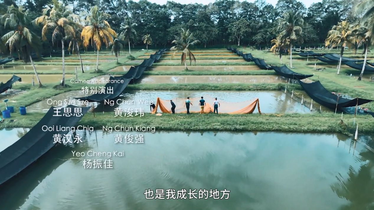 祥龍魚場：讓龍魚從瀕臨滅絕到人工繁殖的成功之路