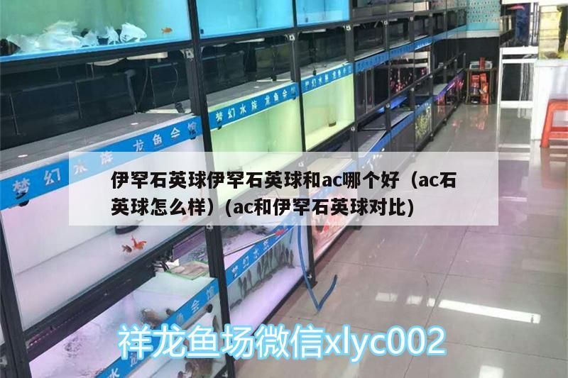 伊罕石英球伊罕石英球和ac哪個好（ac石英球怎么樣）(ac和伊罕石英球?qū)Ρ?