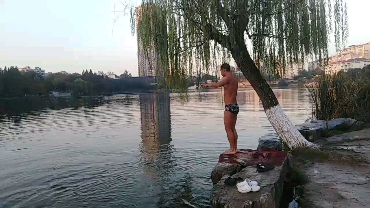 九龍湖 九龍湖 龍魚論壇 第1張