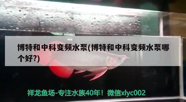 博特和中科變頻水泵(博特和中科變頻水泵哪個好?)