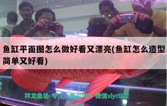 紅龍魚魚缸背景紙畫：關于紅龍魚魚缸背景紙畫的一些詳細信息
