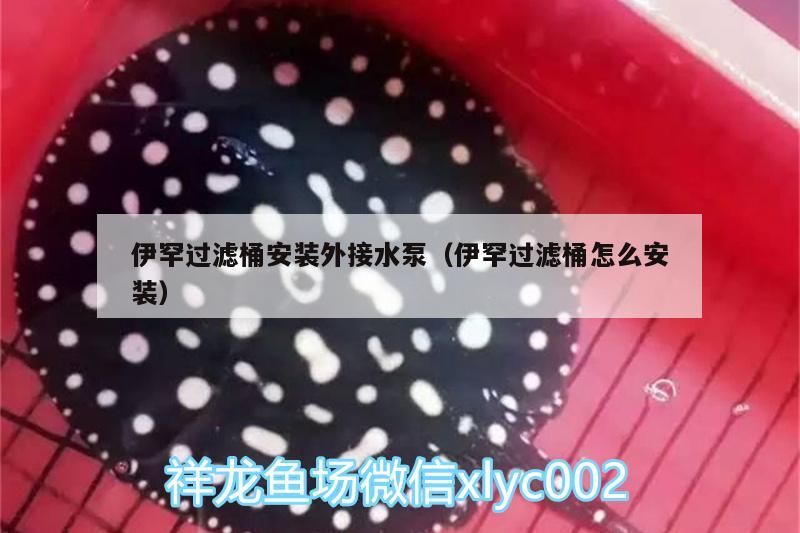 伊罕過濾桶安裝外接水泵（伊罕過濾桶怎么安裝） 伊罕過濾桶安裝外接水泵（伊罕過濾桶怎么安裝） 伊罕水族 第1張