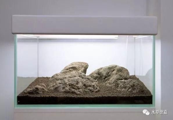 60公分魚缸造景效果圖片：60公分魚缸造景效果圖片及注意事項及注意事項