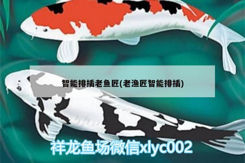 智能排插老魚(yú)匠(老漁匠智能排插)