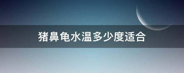 豬鼻龜24度可以嗎：豬鼻龜冬季保溫方法參數如何檢測水溫豬鼻龜常見疾病預防