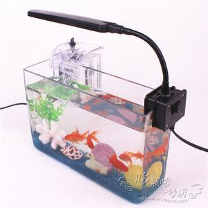 1米魚缸養幾條薩伊藍鯉魚合適：1米的魚缸養幾條薩伊藍鯉魚合適？