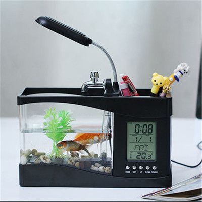 1米魚缸養幾條薩伊藍鯉魚合適：1米的魚缸養幾條薩伊藍鯉魚合適？
