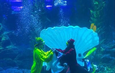 魟魚脫膜與燈光有關嗎：魟魚脫膜與燈光有關嗎[需手動填充]魚脫膜與燈光的關系并不明確