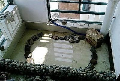 森森和創(chuàng)寧品牌對比（森森和創(chuàng)寧哪個好） 森森和創(chuàng)寧品牌對比（森森和創(chuàng)寧哪個好） 創(chuàng)寧水族