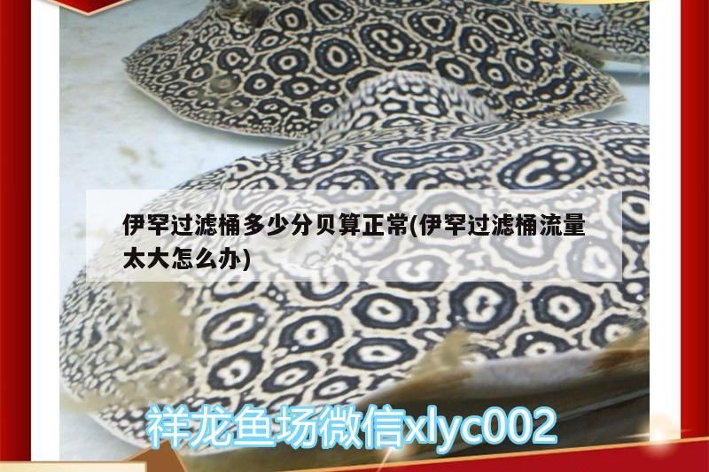 伊罕過(guò)濾桶多少分貝算正常(伊罕過(guò)濾桶流量太大怎么辦)