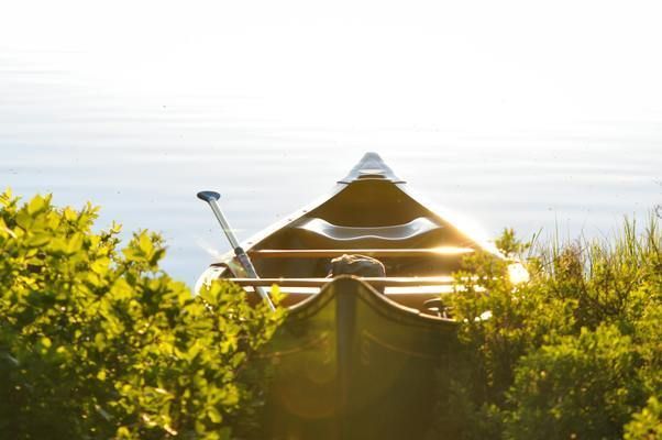 龍魚缸多寬最好vs祥龍魚場：龍魚缸寬度對于龍魚的健康和美觀展示至關重要