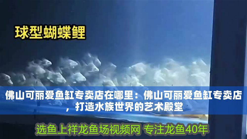 佛山可麗愛魚缸專賣店在哪里：佛山可麗愛魚缸專賣店，打造水族世界的藝術殿堂