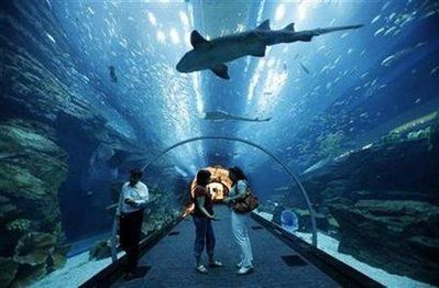 aquarium魚缸 說明書：aquariumfish缸說明書aquariumfish缸選購指南