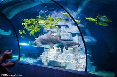 aquarium魚缸 說明書：aquariumfish缸說明書aquariumfish缸選購指南