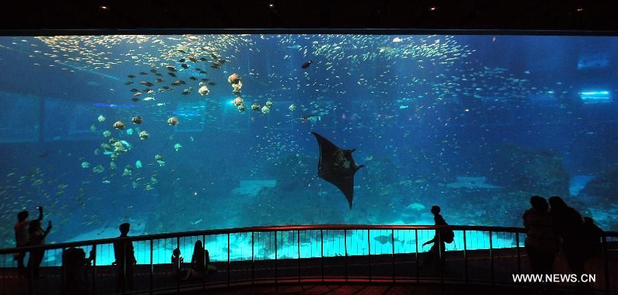 aquarium魚缸 說明書：aquariumfish缸說明書aquariumfish缸選購指南