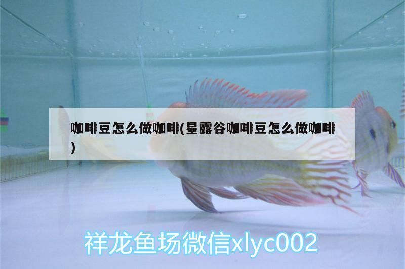 咖啡豆怎么做咖啡(星露谷咖啡豆怎么做咖啡)