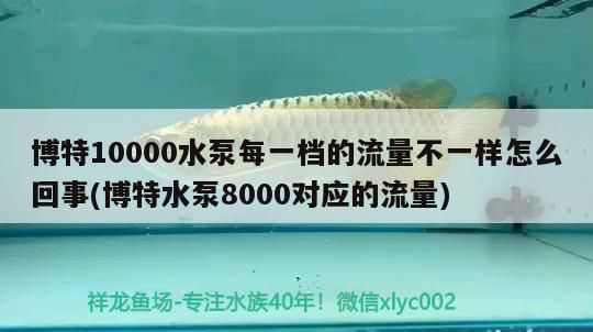 博特10000水泵每一檔的流量不一樣怎么回事(博特水泵8000對應的流量)
