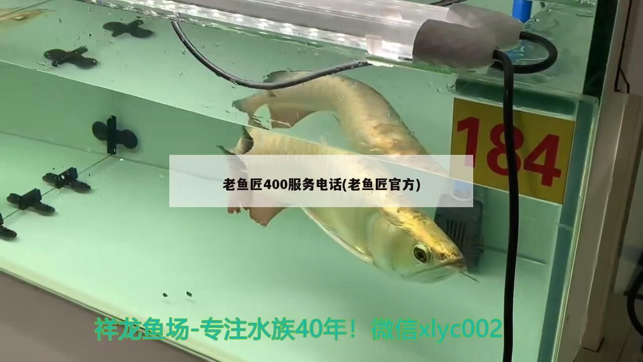 老魚匠400服務電話(老魚匠官方)