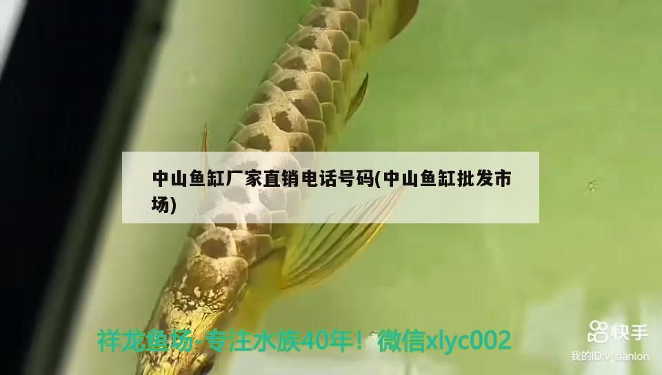 中山魚缸廠家直銷電話號(hào)碼(中山魚缸批發(fā)市場(chǎng))