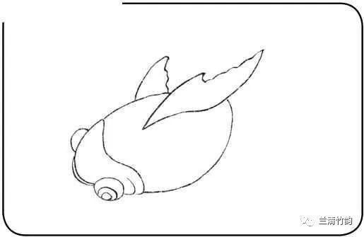 金龍魚(yú)白描技法的學(xué)習(xí)資源