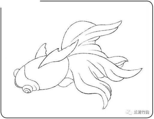 金龍魚(yú)白描技法的學(xué)習(xí)資源