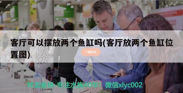 客廳可以擺放兩個魚缸嗎(客廳放兩個魚缸位置圖) 客廳可以擺放兩個魚缸嗎(客廳放兩個魚缸位置圖) iwish愛唯希品牌魚缸