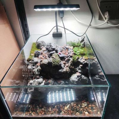 1號水族魚缸使用說明書視頻：1號水族魚缸使用指南